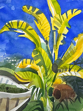 Bellapais Garden Cyprus