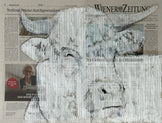 White Cow Wiener Zeitung