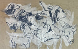 Cow Sketch