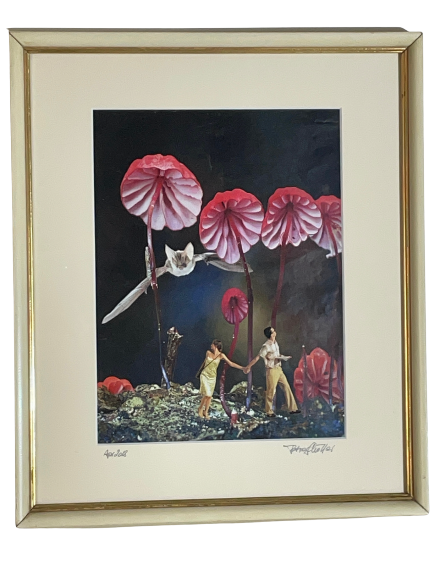 Crazy Mushrooms