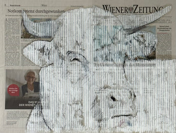 White Cow Wiener Zeitung