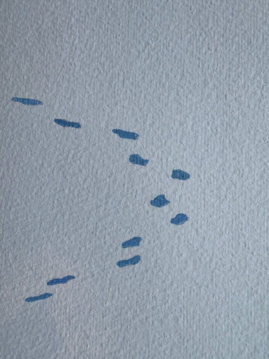 Comfort Zone