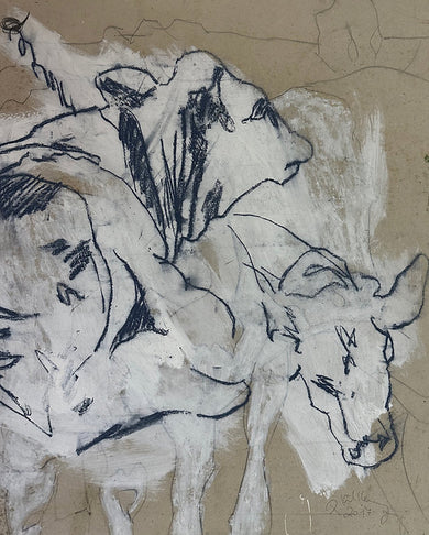 Cow Sketch