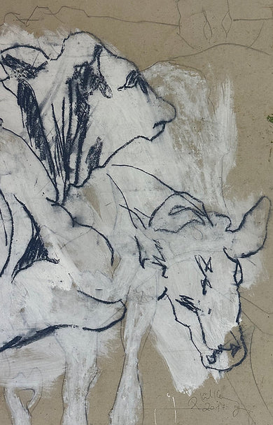 Cow Sketch